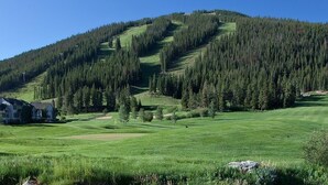 A large house with a well-maintained lawn and a view of a forested hill. -  LUXURY STUDIO+BUNK ROOM, VIEWS, MINS TO LIFTS /SHOPS, ONSITE HOT TUB, GARAGE (Copper Mountain)