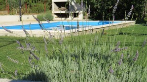 A swimming pool surrounded by green grass and lavender plants. - A Mountain Escape From Everyday Life At Apartment Vilar right next to Split! (Srinjine, Split)