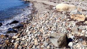 A rocky shoreline with a clear view of the water and a forest in the background. - Prime fall week Oct 10-17 available! Enjoy panoramic ocean views, near Camden (Northport)
