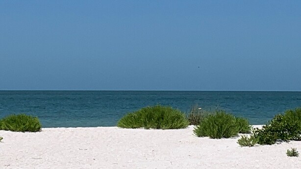 Ein Strand mit weißem Sand und grüner Vegetation im Vordergrund.
