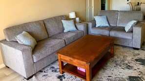 Smart TV, DVD player, books, video library