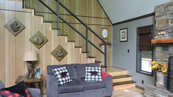 智能電視、壁爐、書籍