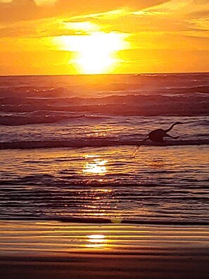 Una playa cerca