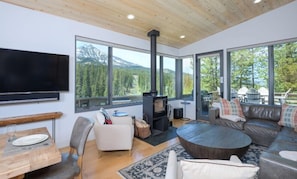 TV, video games, stereo