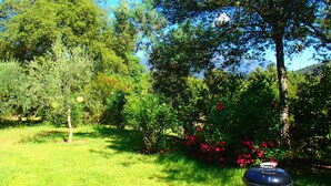 Un espace extérieur verdoyant, avec un barbecue, des arbres et des arbustes en fleurs.