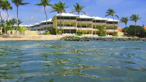 Un hôtel à plusieurs étages, doté de balcons, situé près d’une plage bordée de palmiers.