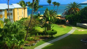 Un hôtel offrant une vue sur l’océan, entouré de palmiers et agrémenté d’un jardin bien entretenu.