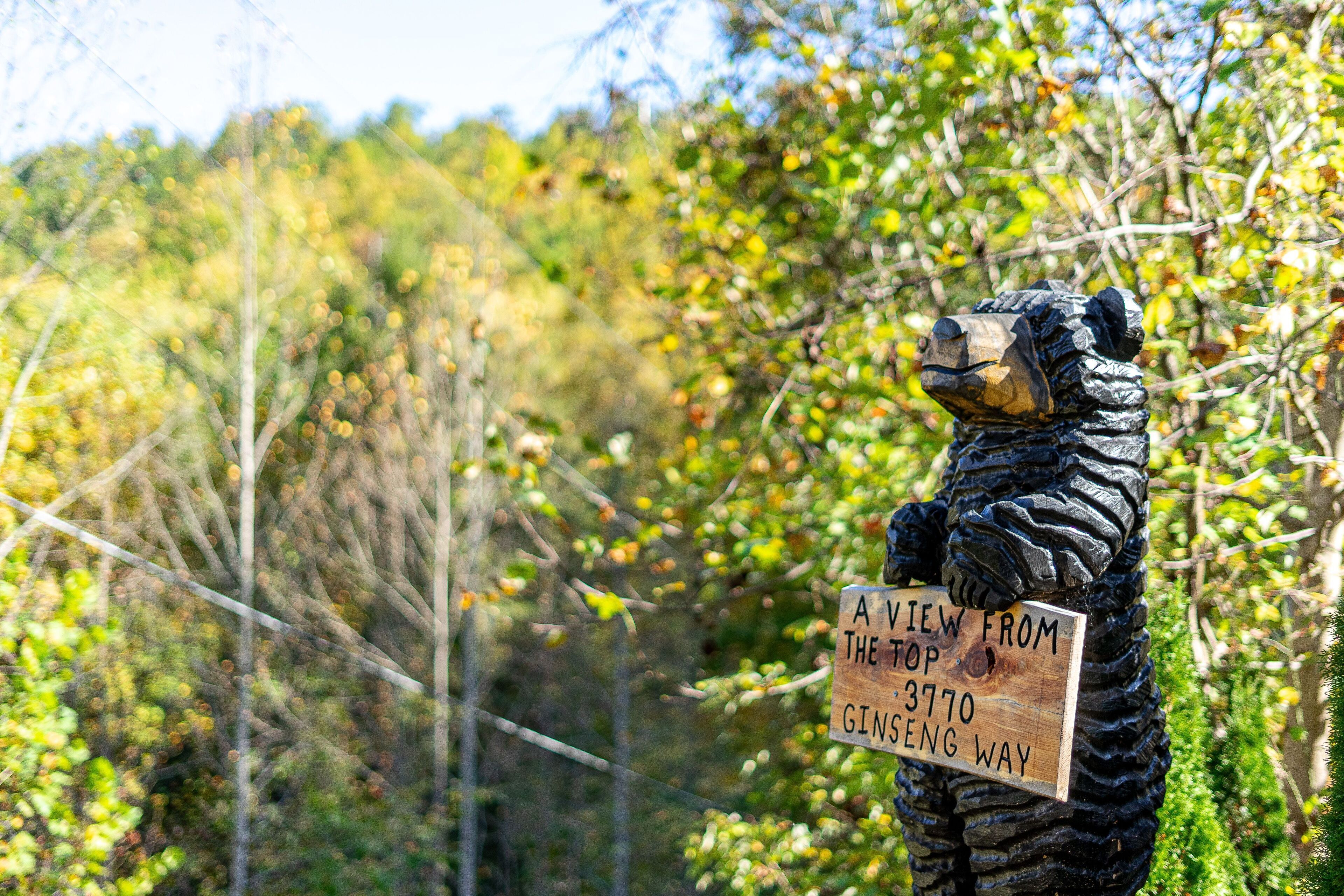 A bear statue holding a sign that reads "A VIEW FROM THE TOP 3770 GINSENG WAY".
