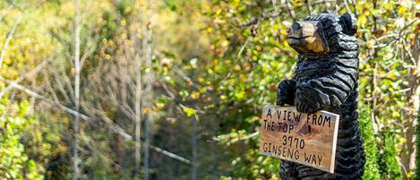 A bear statue holding a sign that reads "A VIEW FROM THE TOP 3770 GINSENG WAY".