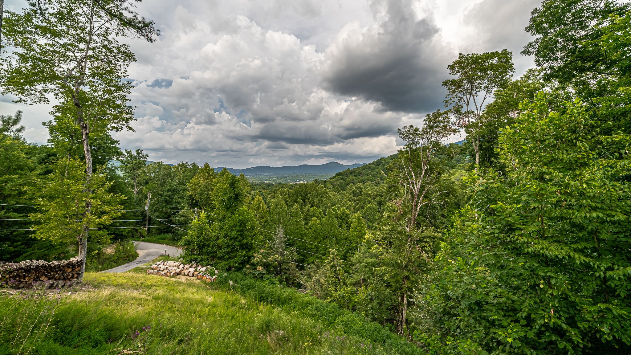 A lush green landscape with a winding road, dense trees, and a stone wall.