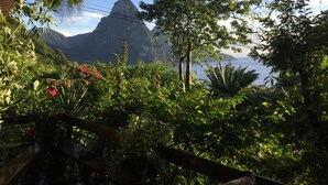 A lush garden with a variety of plants and a wooden fence. - Treehouse Hideaway Villa I--A Nature Packed Soufriere Experience (Soufriere)
