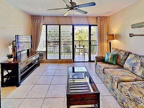 Télévision, lecteur de DVD, livres