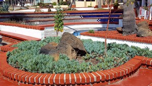 Un jardin aménagé avec une bordure circulaire en briques, un massif rocheux central et une variété de plantes.