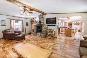 Smart TV, fireplace, DVD player, video library