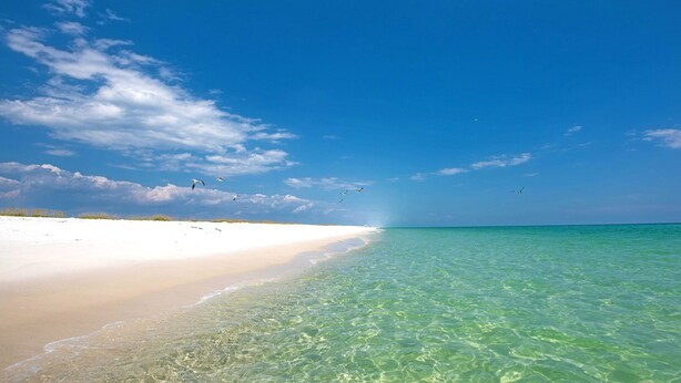 A beach with clear turquoise water and white sand, with birds flying overhead. -  Island's End Welcomes You to Paradise!   (Pensacola Beach)
