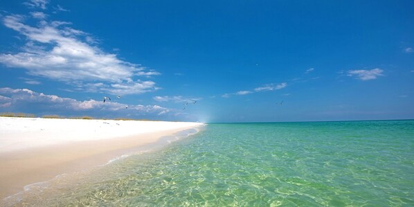 Playa en los alrededores, camastros y toallas de playa 