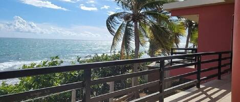 Een balkon met uitzicht op de oceaan en palmbomen.