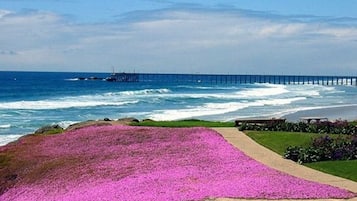 海滩