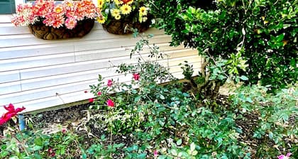 We Love Short & Long Term