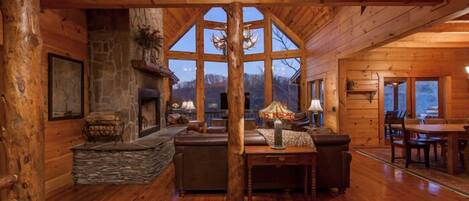 TV, fireplace, DVD player, books