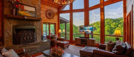 TV, fireplace, DVD player, books