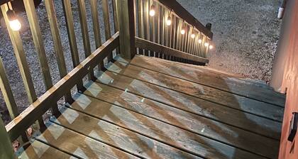 Sinun metsäinen retriisi odottaa sinua!