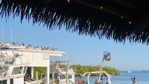 A marina with boats docked, a pier with people and a pile of yellow fruits, and a clear blue sky.