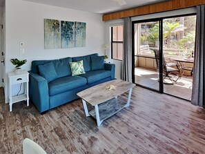 TV, DVD player, books