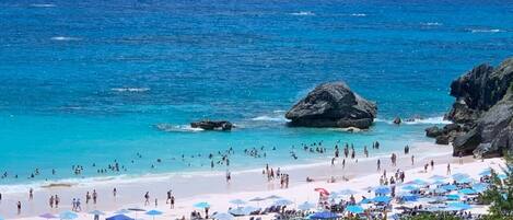 ビーチの近く、サンラウンジャー、ビーチタオル