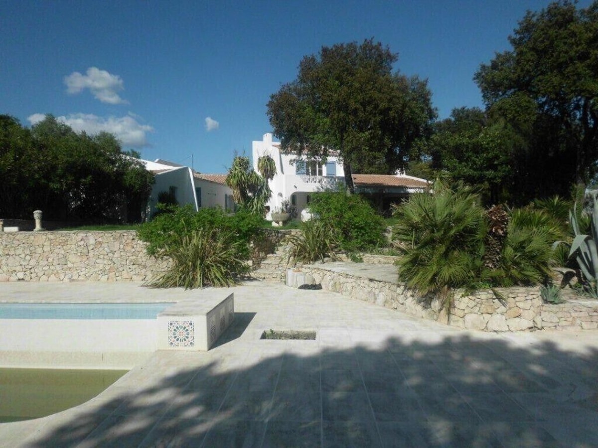 Image de profil de lâhĂŽte