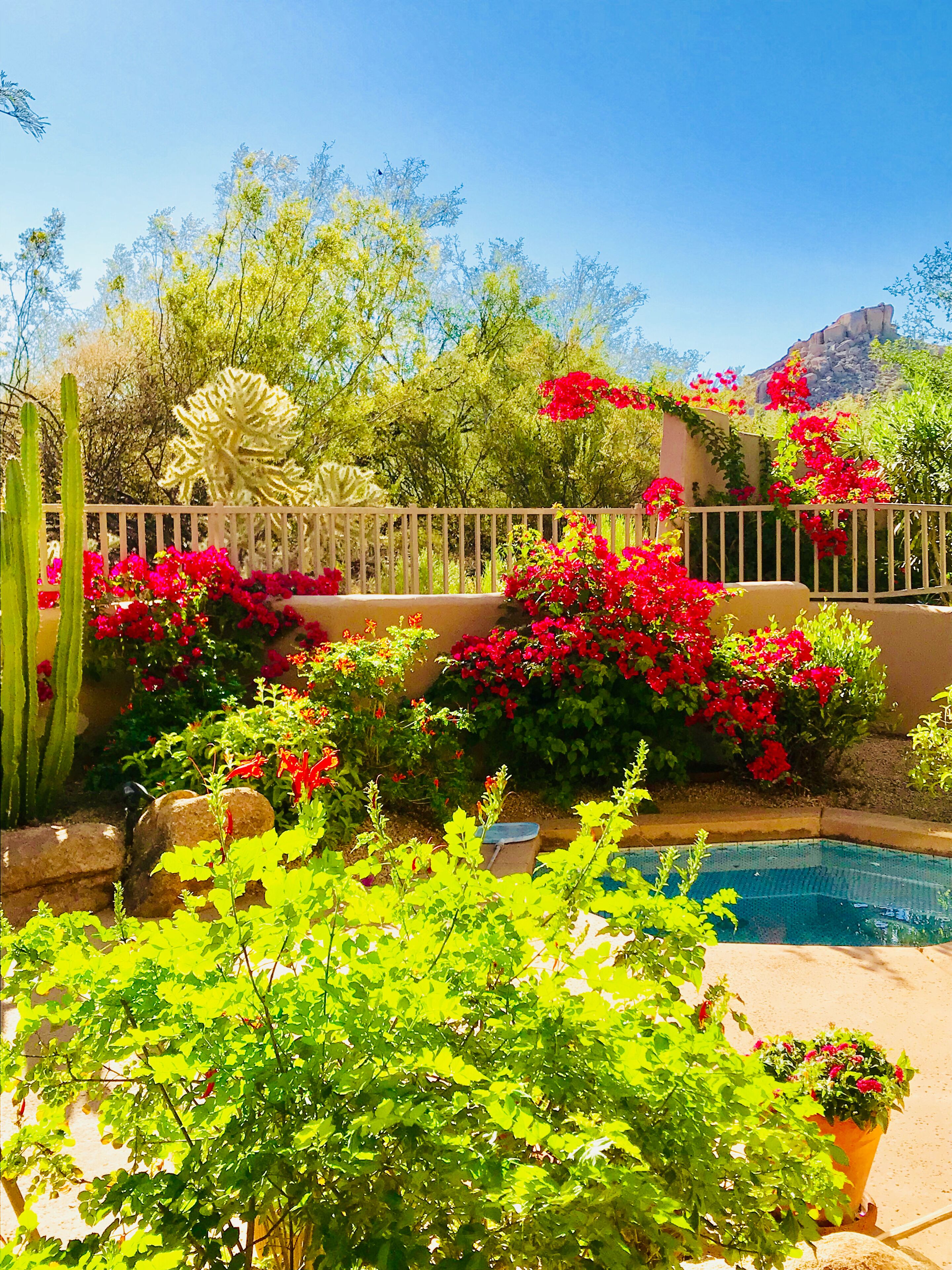 Jardines del alojamiento