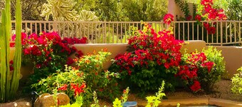 The Boulders Resort, North Scottsdale, Special Private Place, Whatever U Want