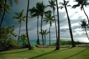 Guests can enjoy a serene grassy area surrounded by tall palm trees and a stunning ocean view.