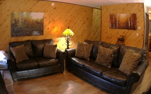 智能電視、壁爐、DVD 播放機