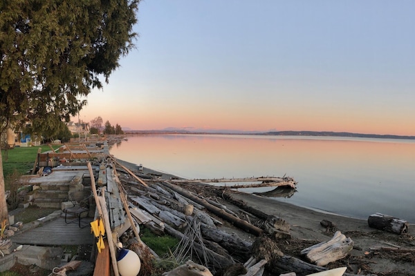 Beach in front of home