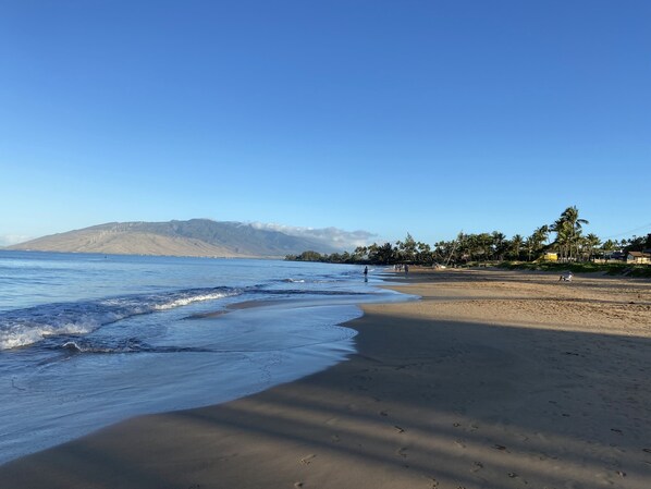 Beach nearby, sun loungers, beach towels