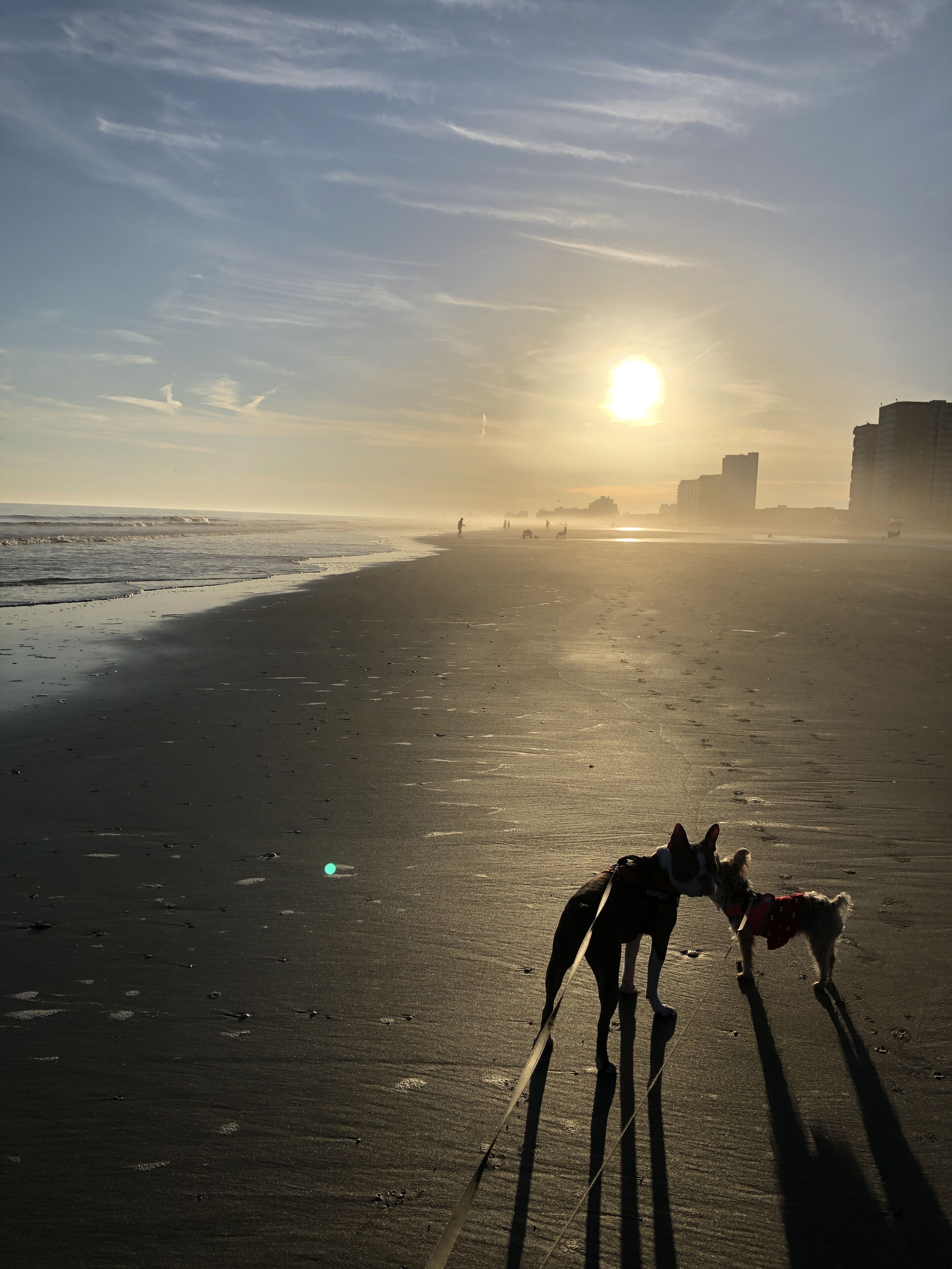 On the beach, sun loungers