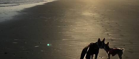 Am Strand, Liegestühle