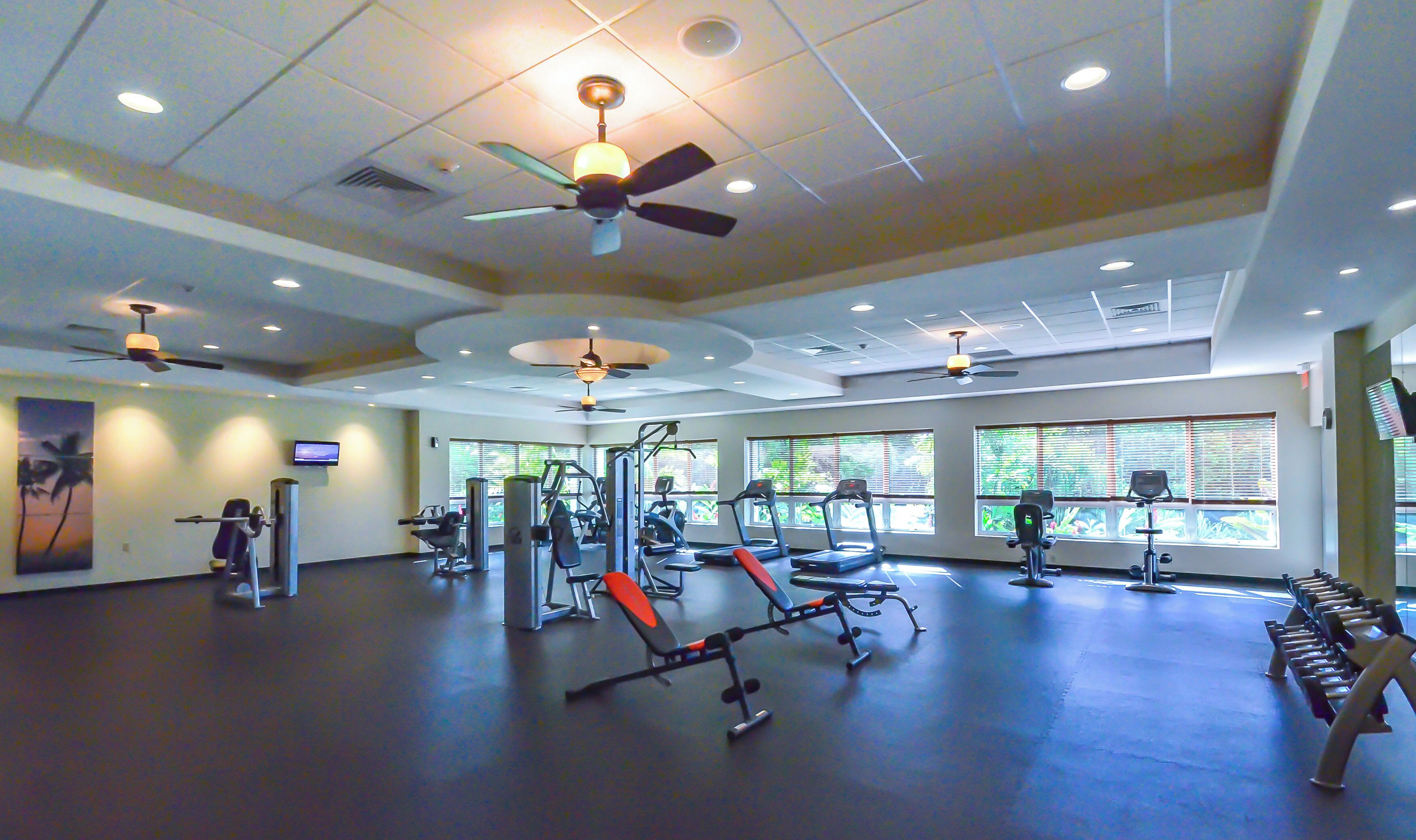 A spacious gym with ceiling fans, exercise equipment, and large windows.