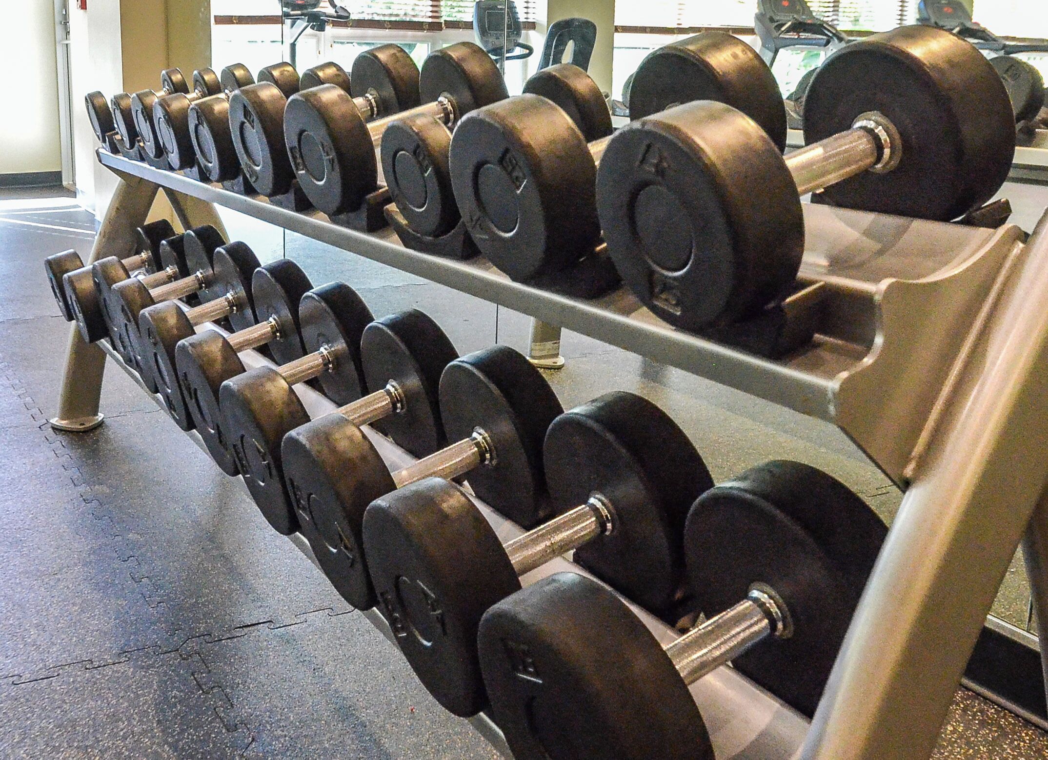 A rack of dumbbells in a gym.