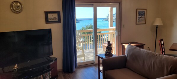 Smart TV, DVD player, books, video library