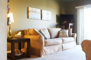 TV, DVD player, books, video library