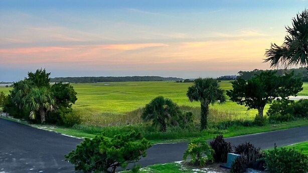 A residential area with a paved road, a mailbox, and a grassy field with trees. - Peaceful Villa with Ocean and Hunting Island View (Harbor Island)