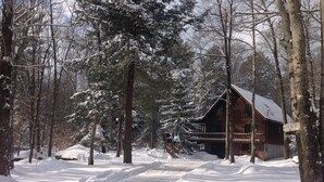 Een chalet omgeven door sneeuwbedekte bomen.