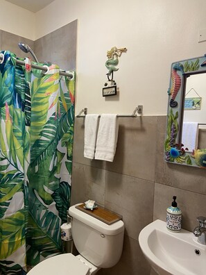 Shower, hair dryer, towels, soap