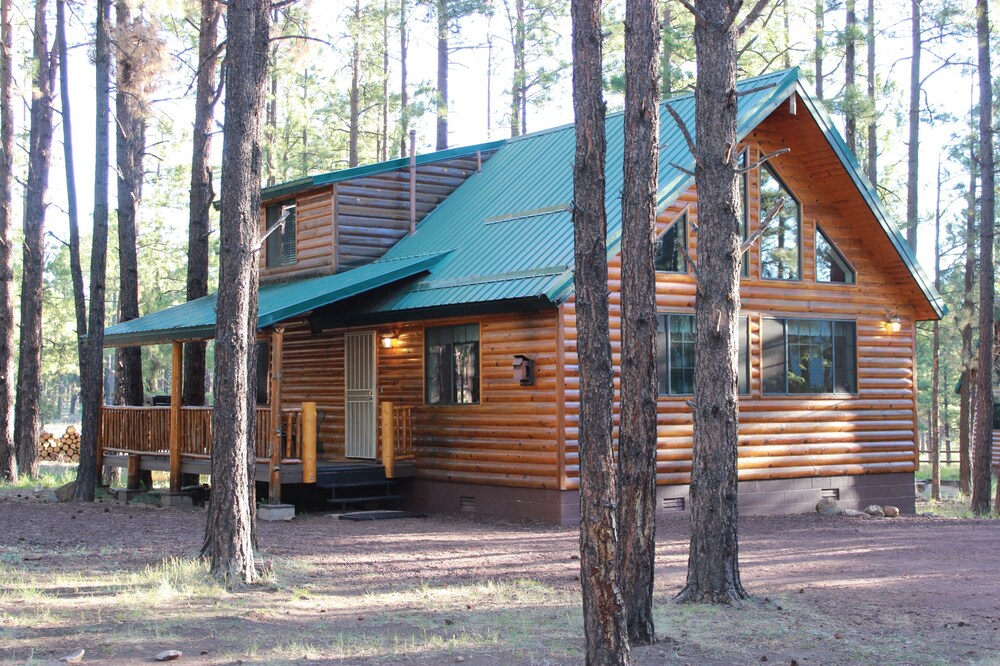 Shoshone Cabin--An Economical Choice for large groups!