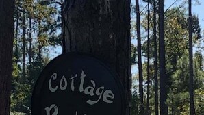 A sign indicating 'Cottage Parking' in a forested area. - Julia's Cottage, peace @ Music Springs (Hawkins)