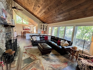Smart TV, fireplace, DVD player, books