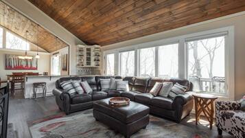 TV connectée, cheminée, jeux vidéo, lecteur de DVD