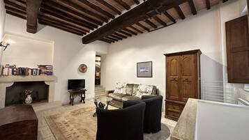 Smart TV, caminetto, libri